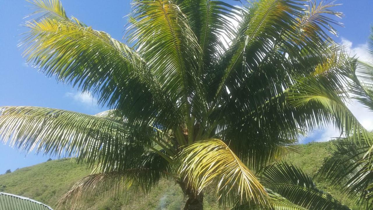 Location " La Pirogue " Maison D'Hotes A Moorea Hotel Haapiti Exterior foto